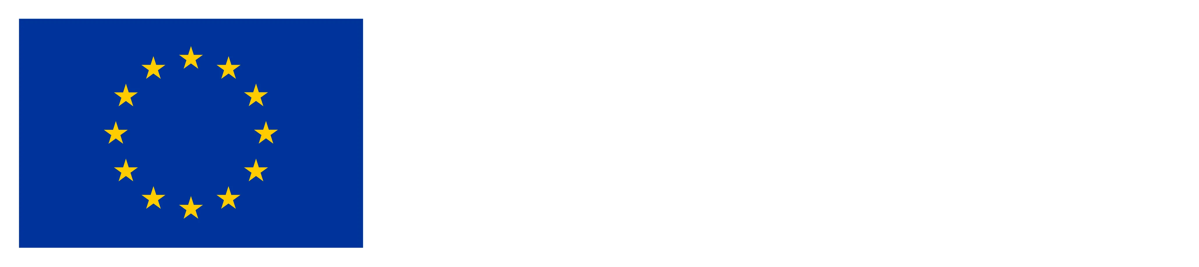 Logo of the European Union, with the text 'Co-funded by the European Union'